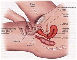 Grosse bite tube anal